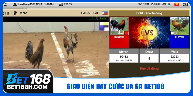 Giao diện cá cược đá gà đơn giản, dễ thao tác dù mới chơi